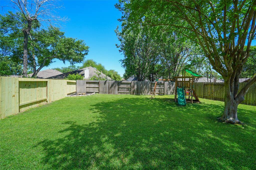 back yard