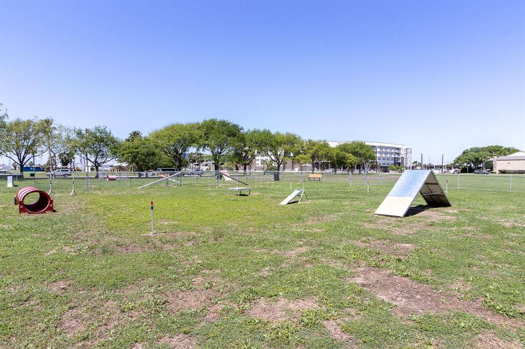 Dog agility course in Lindale park.