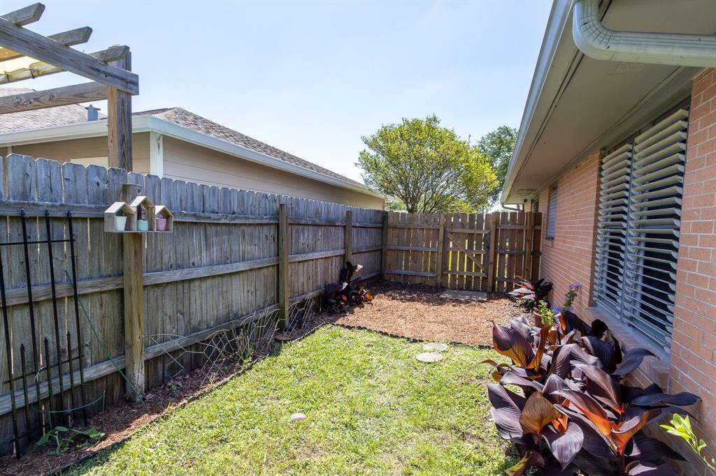 Side yard on the east side of the house.