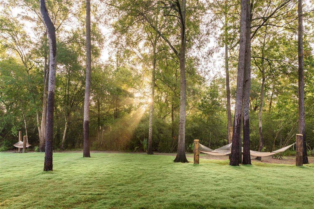 Hammock park