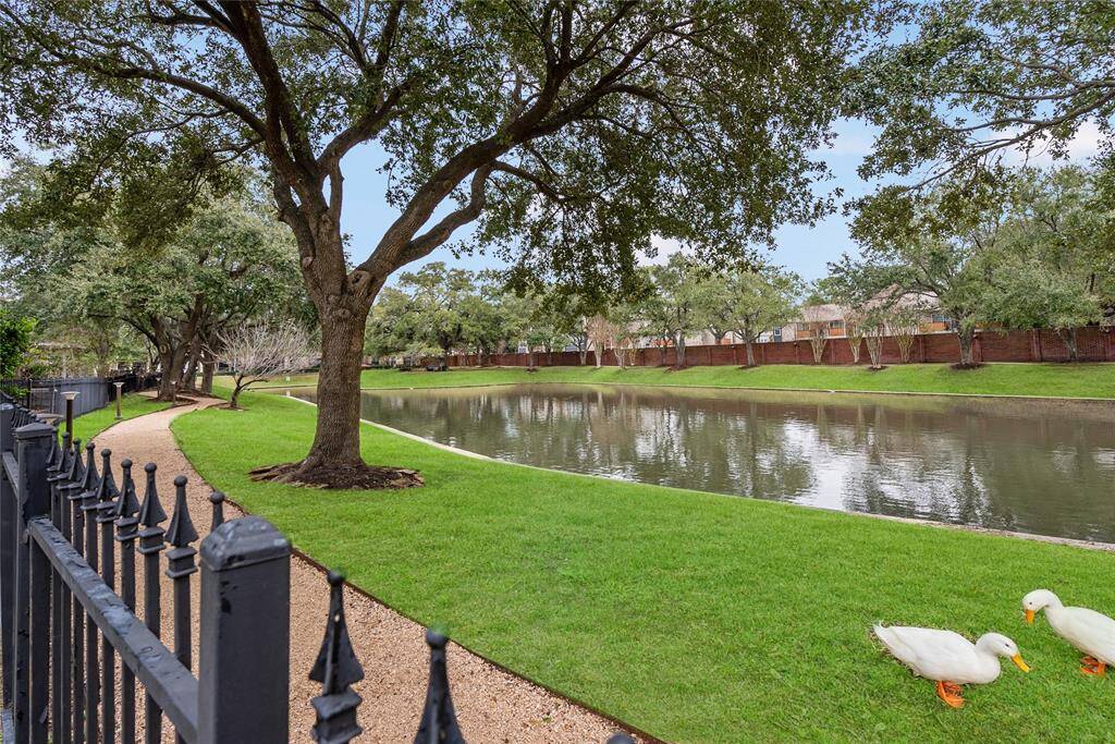 Imagine this being your backyard view! Welcome to 1523 Lakeside Enclave!