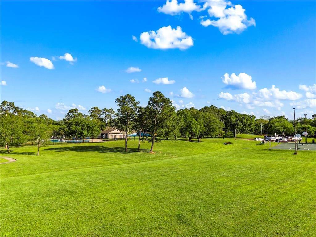 The neighborhood greenspace and walking trails.