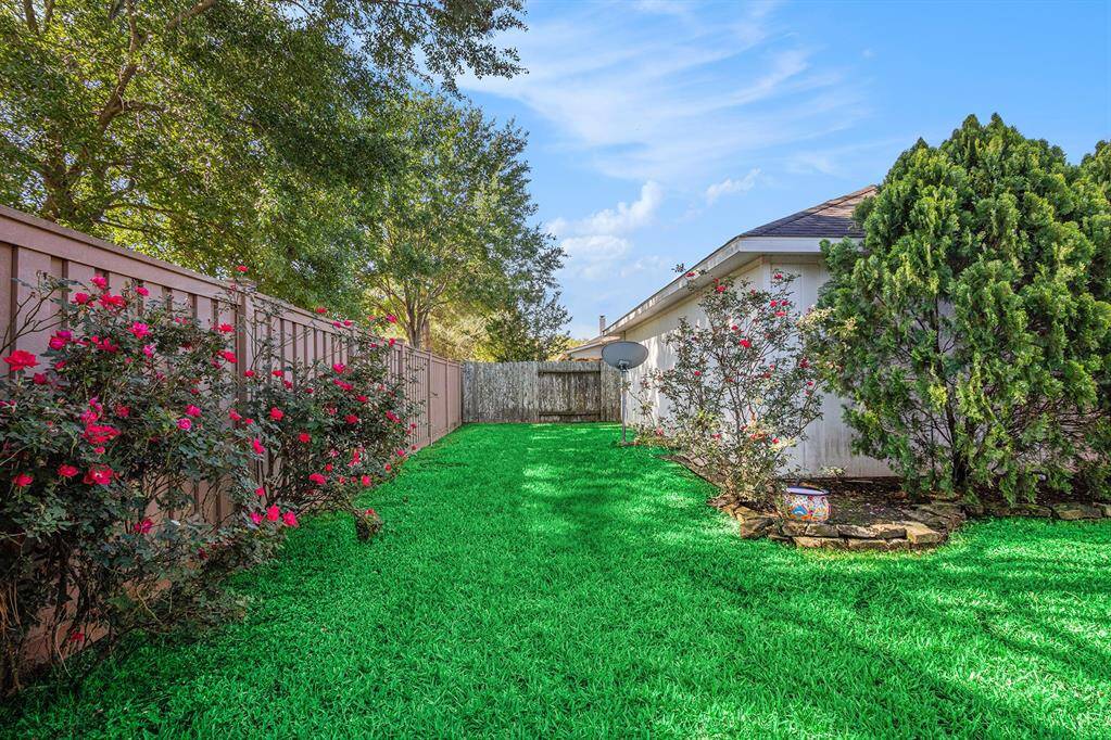 Spacious landscaped backyard