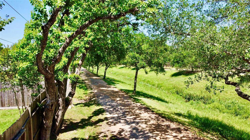 Terry Hershey Park and Trail