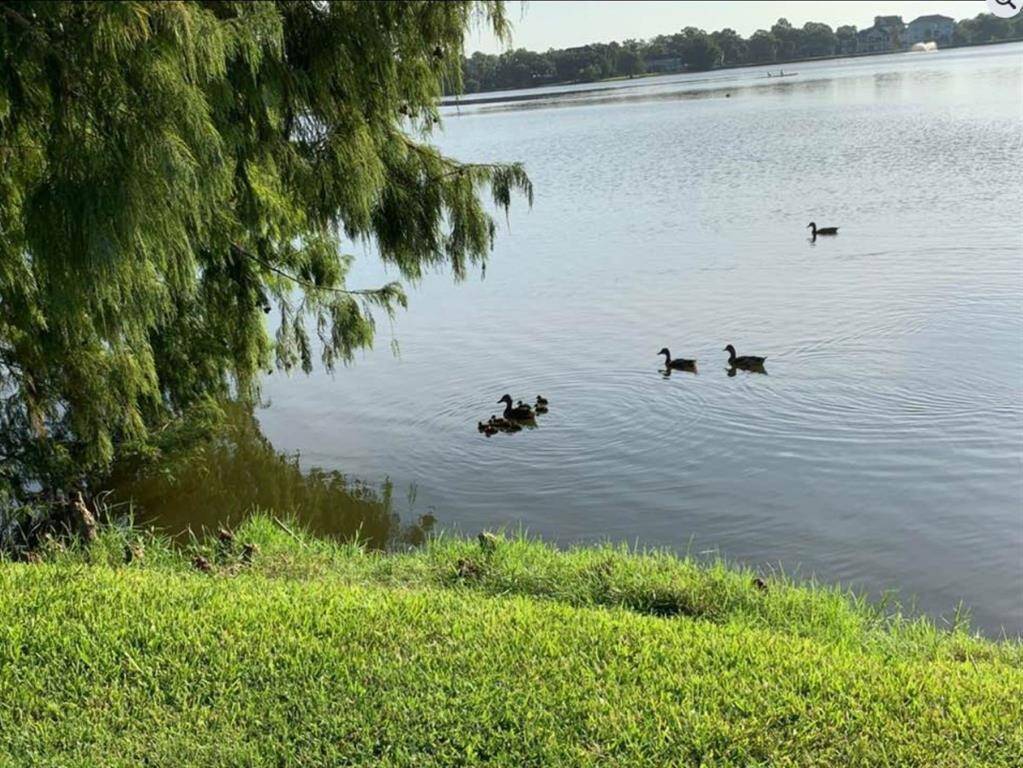 Nassau Bay is a Bird Sanctuary city