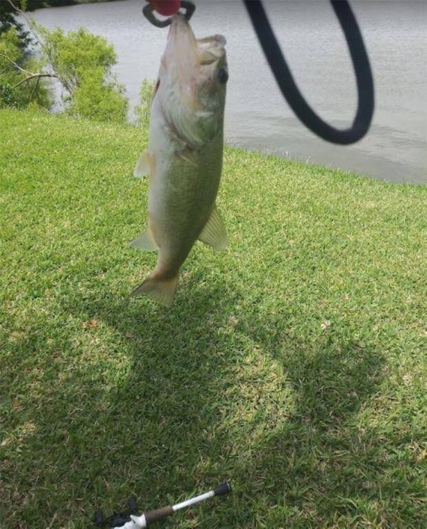 Fishing Fun for all
