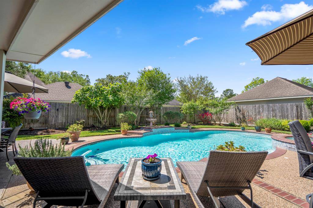 Backyard Oasis