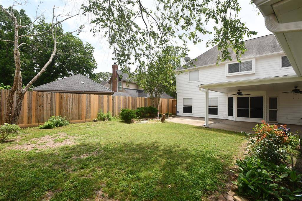 Backyard