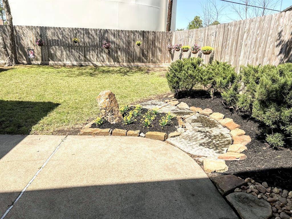 Landscaping back yard