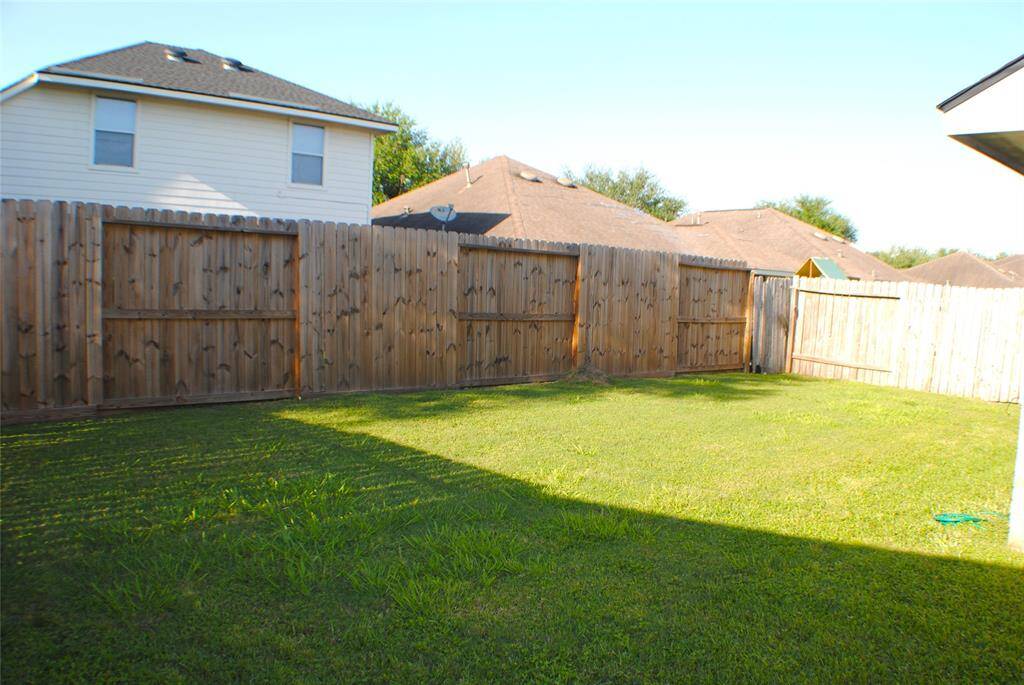 Back yard