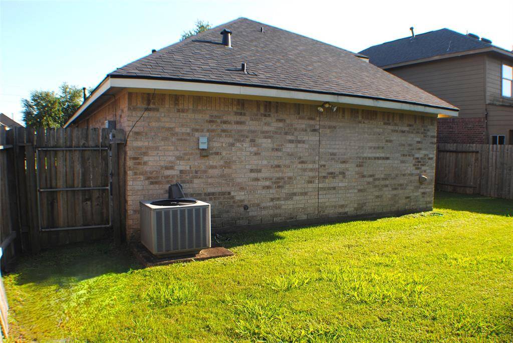 Back yard