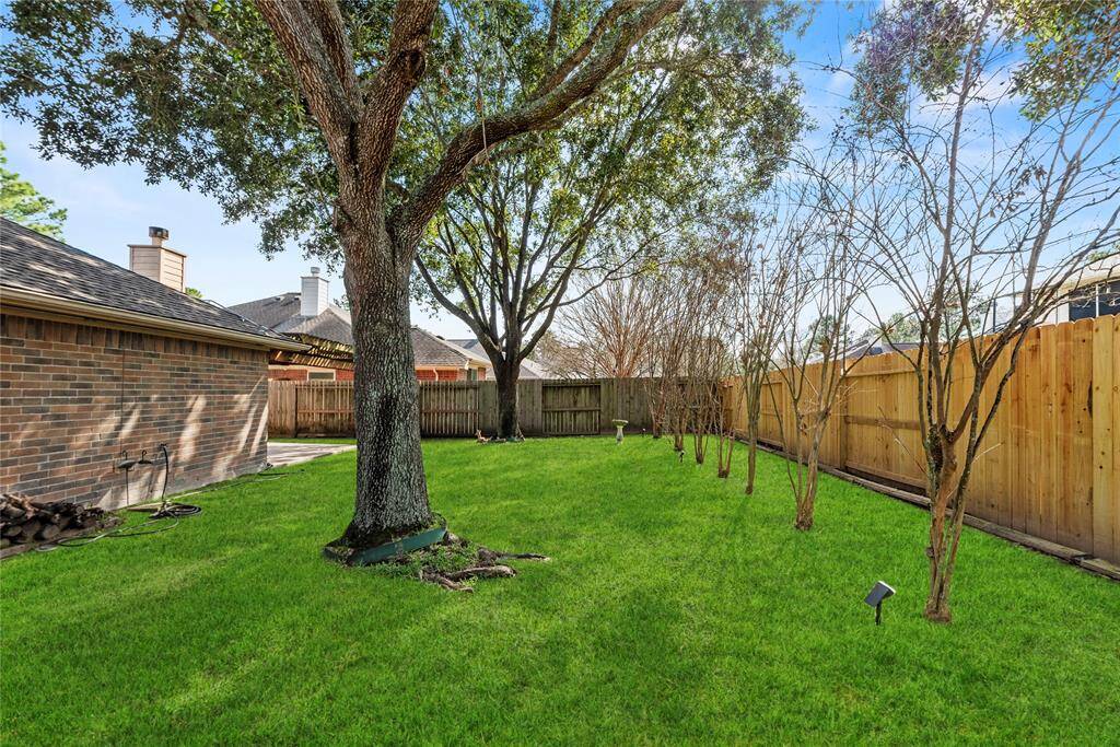 Plenty of green space for all the family fun activities and those four-legged friends too.