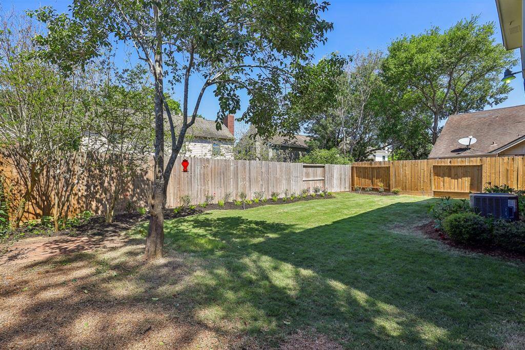 Back Yard - Full