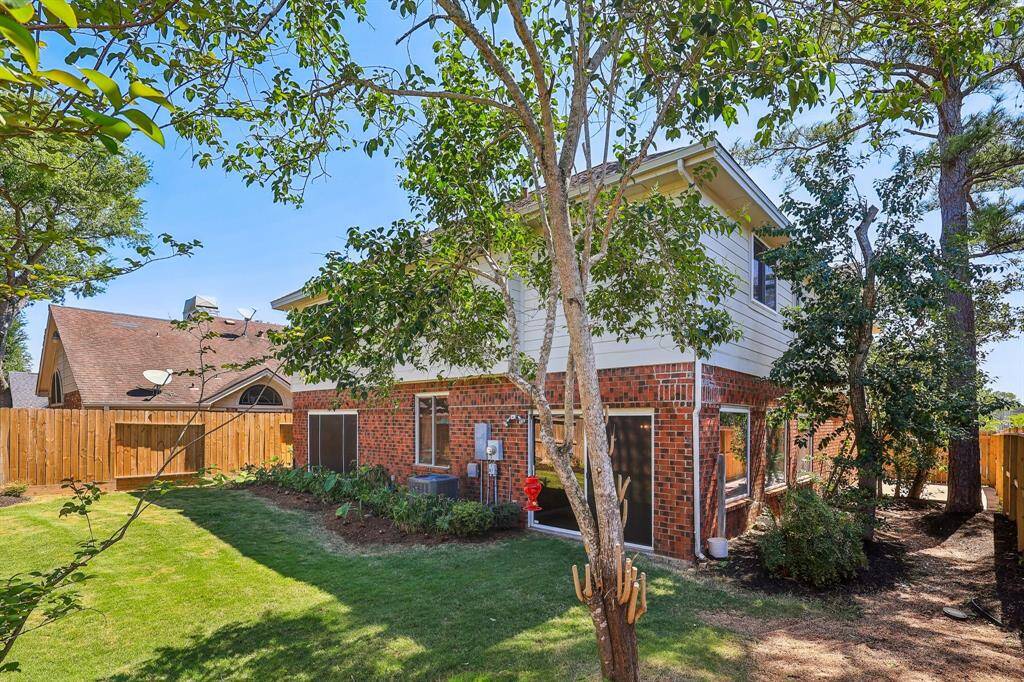 Back & Side Yard