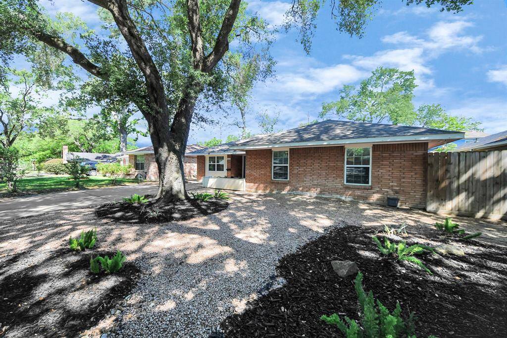 Low maintenance front yard!