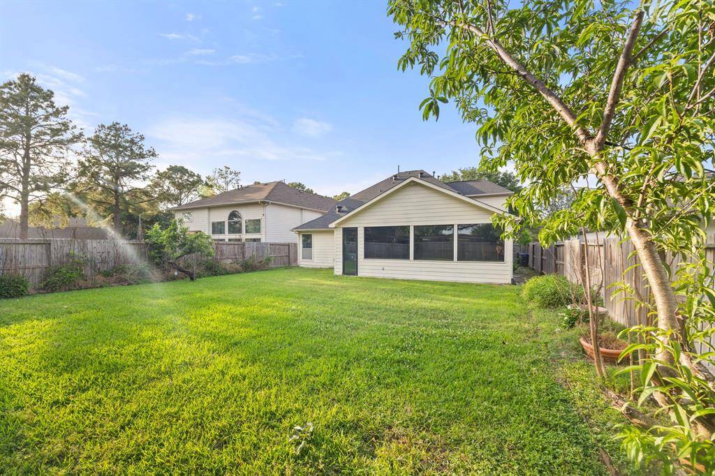 Lush green backyard with mature trees and plenty of room to play, garden, or design your outdoor dream space - peaceful, private, and full of potential.