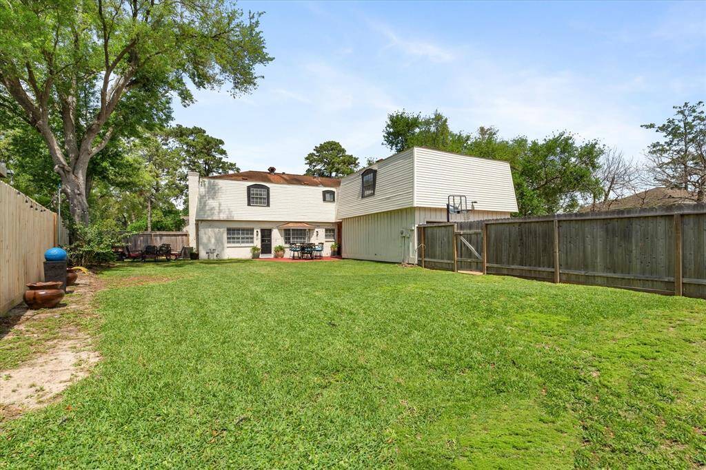 Backyard - Alternate View