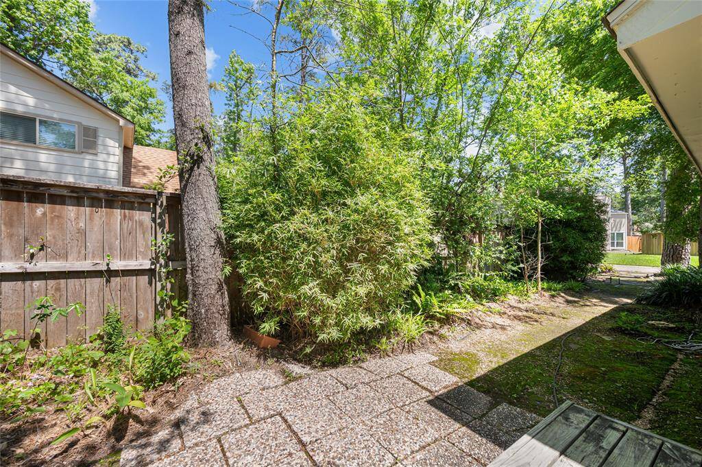 A back/side yard with easy maintenance.