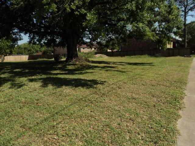 Only one tree on the property