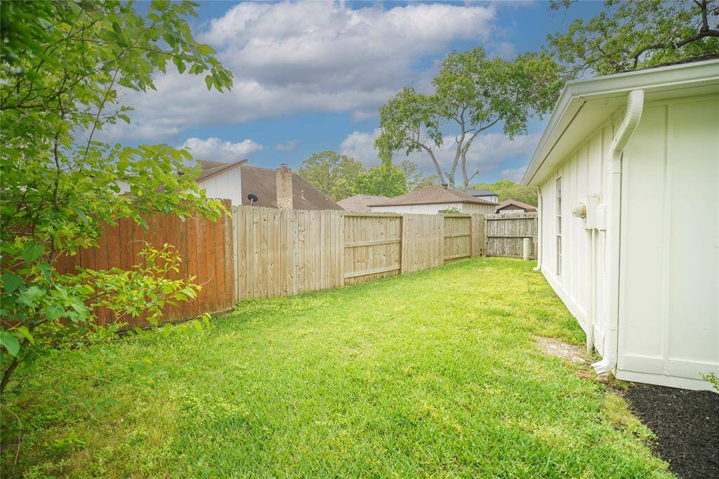 Backyard view