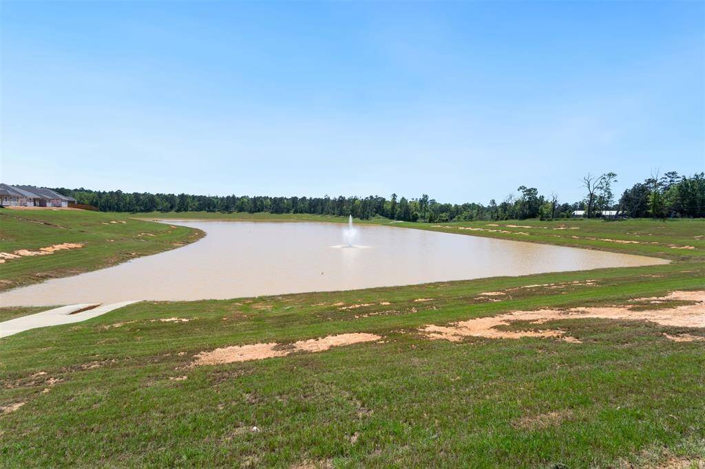 Neighborhood lake has just been stocked with bass!
