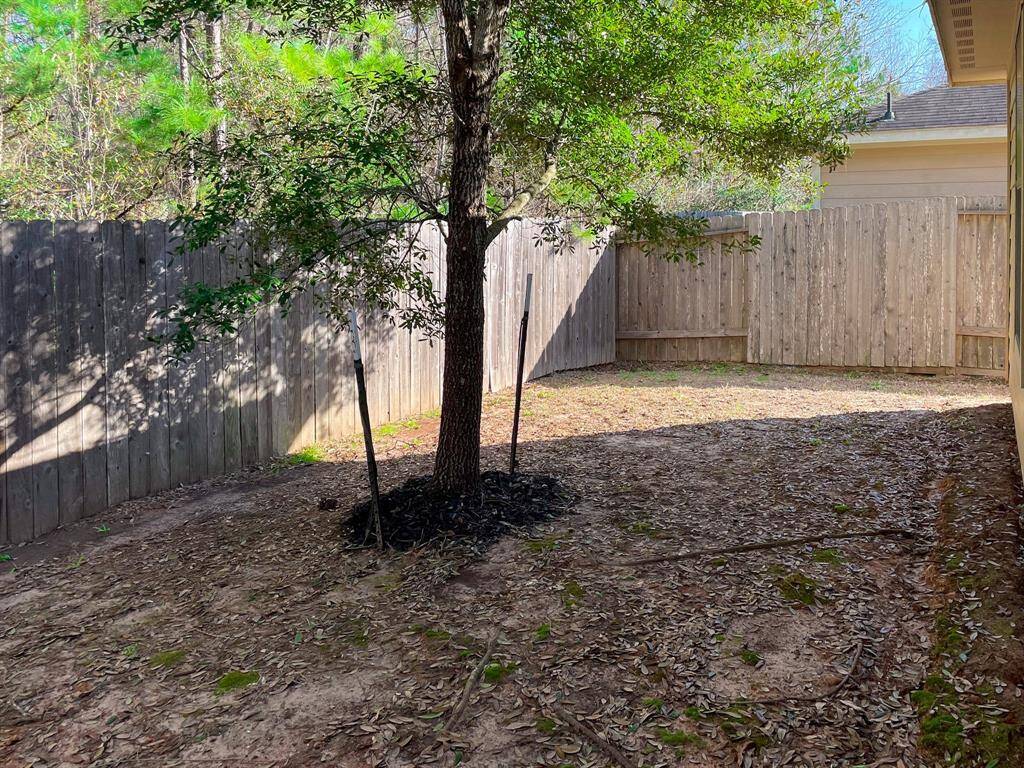 Fenced Backyard