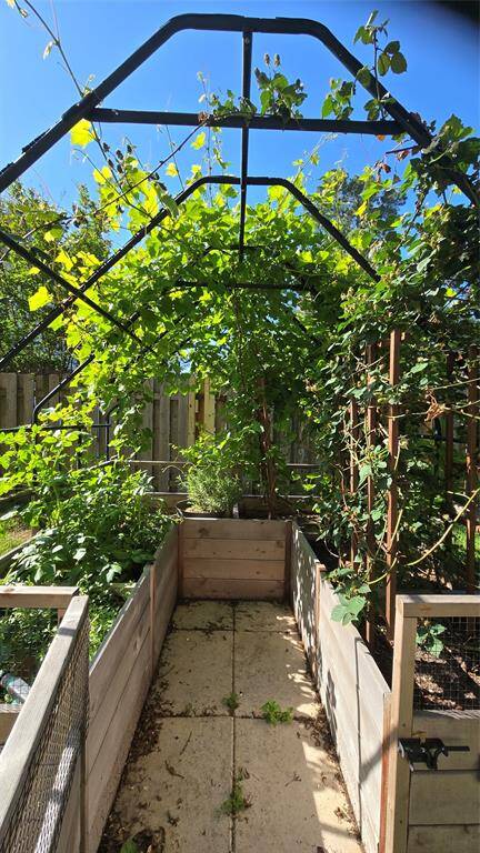 The Greenhouse is bursting with life. Enjoy your very own home grown blackberries, grapes and tomatoes!