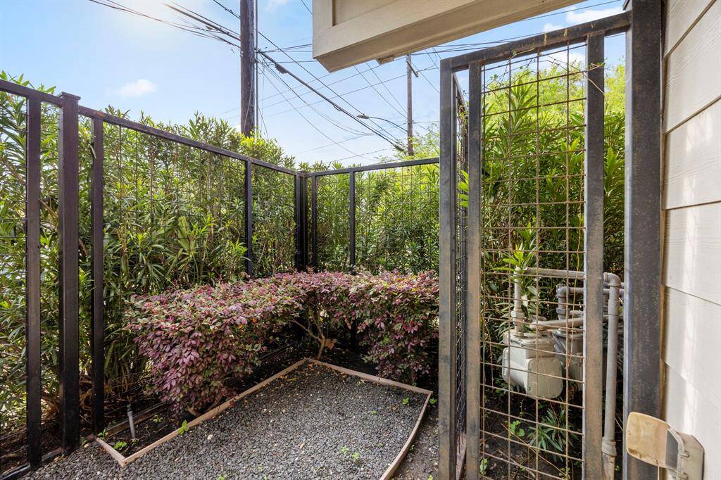 Outdoor space with greenery.