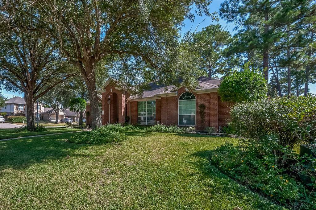 Front Yard Corner Lot