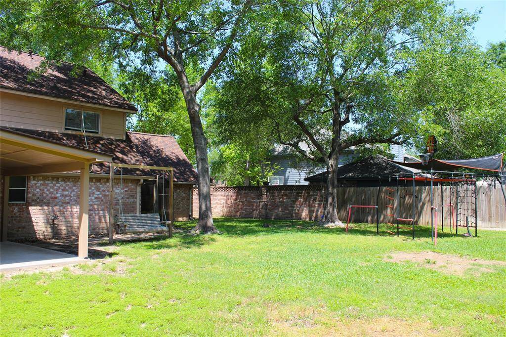 Back Yard