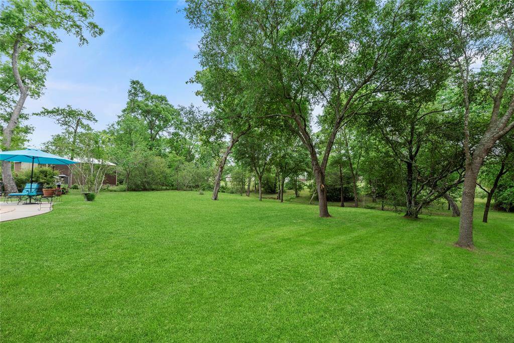 Plenty of green space for all family fun activities and those four-legged friends too.