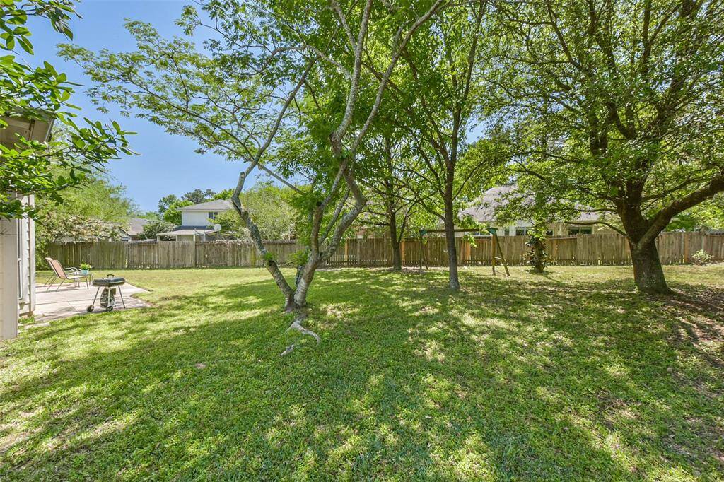 LOOK at this backyard!
