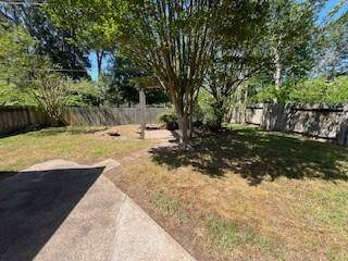 Back yard