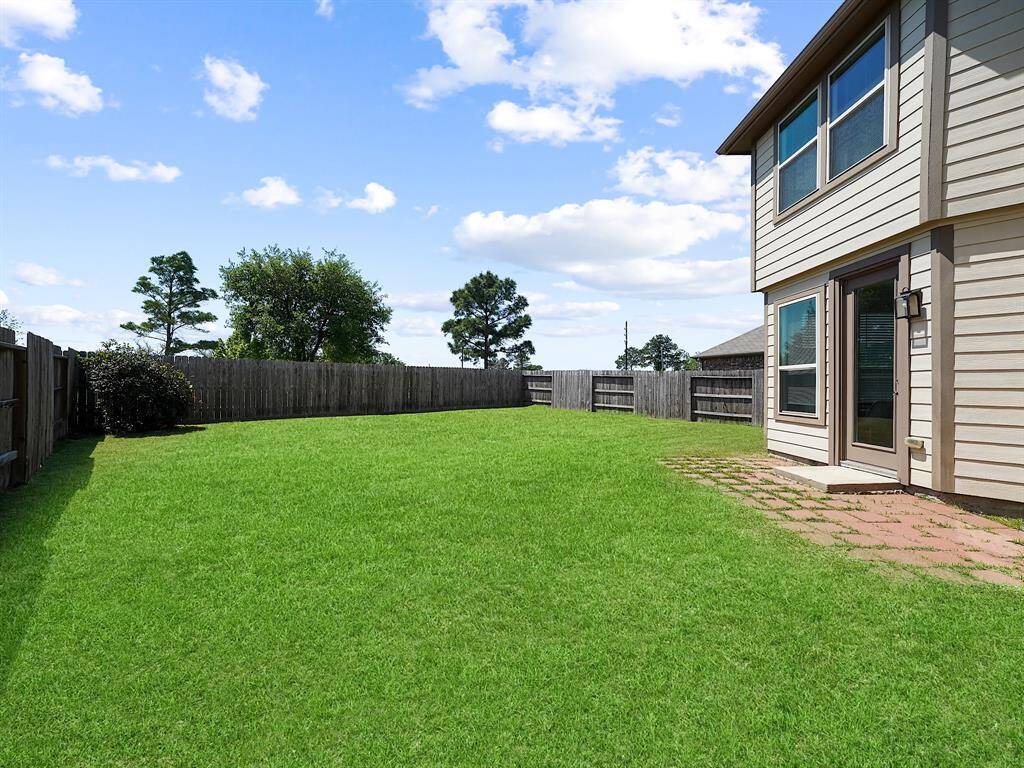 Backyard!