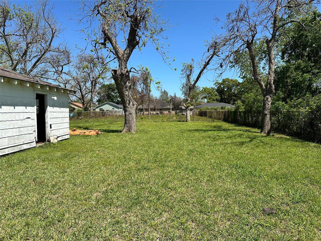 Large back yard