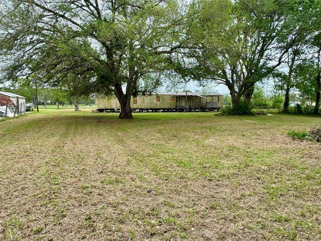 These 2 mature oak tress in your back yard are absolutely beautiful. Shade for those summer picnics.