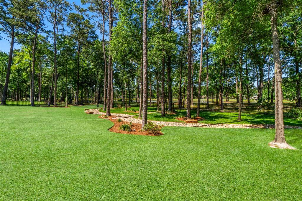 This photo highlights a spacious, beautifully manicured lawn framed by tall, mature trees, offering a peaceful and secluded outdoor retreat—perfect for those in search of tranquility.