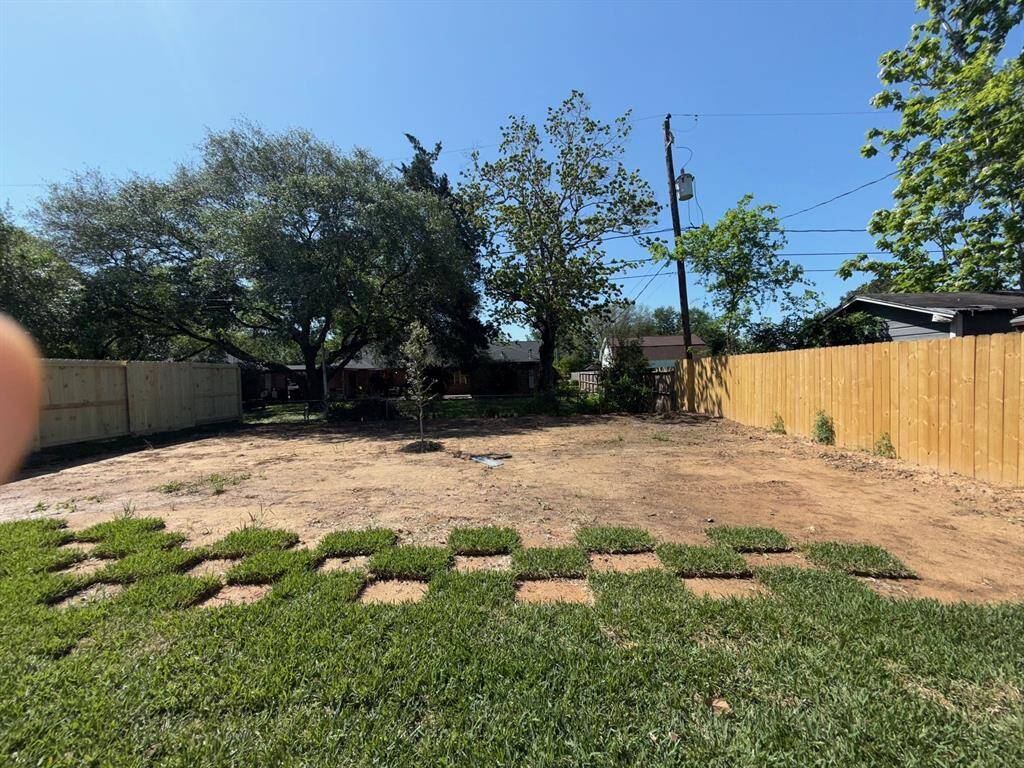 Fenced back yard
