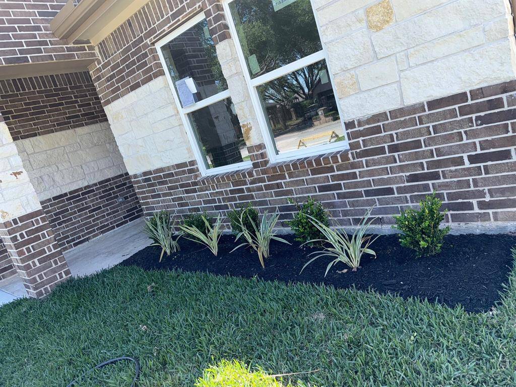 Front flowerbed
