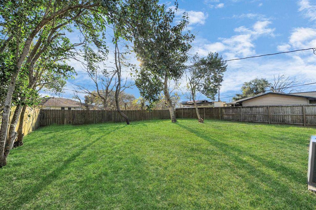 Huge Backyard