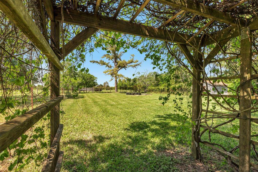 Fairy-like wood trellis is ready for you favorite blooming vine!