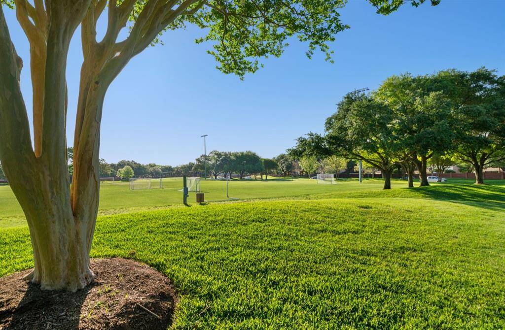 Expansive soccer fields