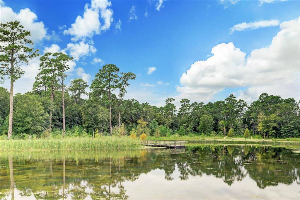 Serene setting in Memorial Park!