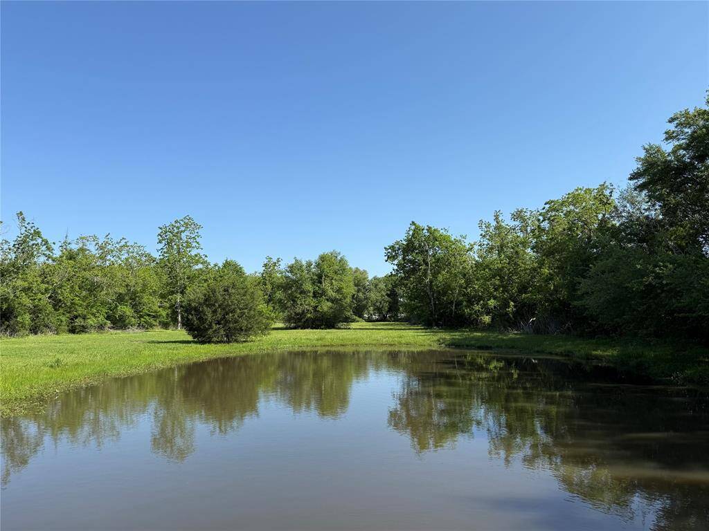 Pond area