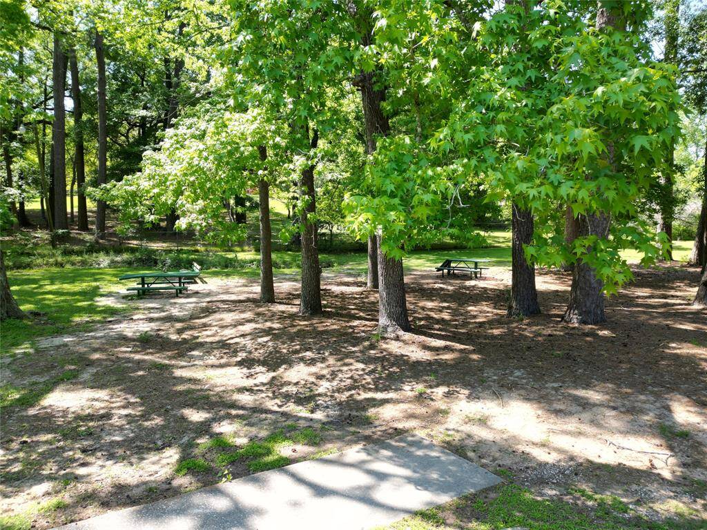 Park