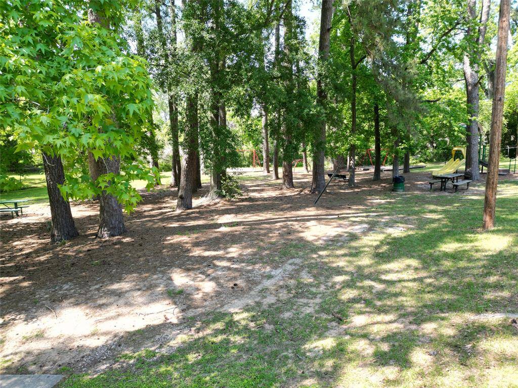 Park