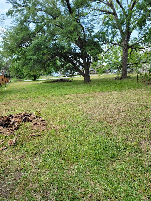 Backyard and the adjoining two lots at rear are also available