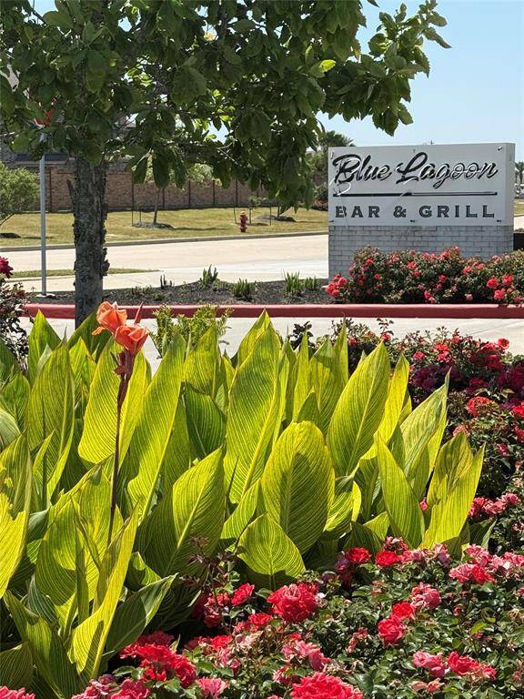 Take a leisurely golf cart stroll down to the Blue Lagoon Bar & Grill for an enjoyable date night!