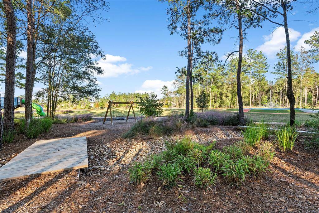 Swings and walking paths in the park