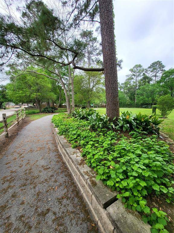 Another beautiful view of the walking garden.
